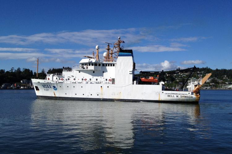 A white ship with Newport Oregon in the background on a clear day