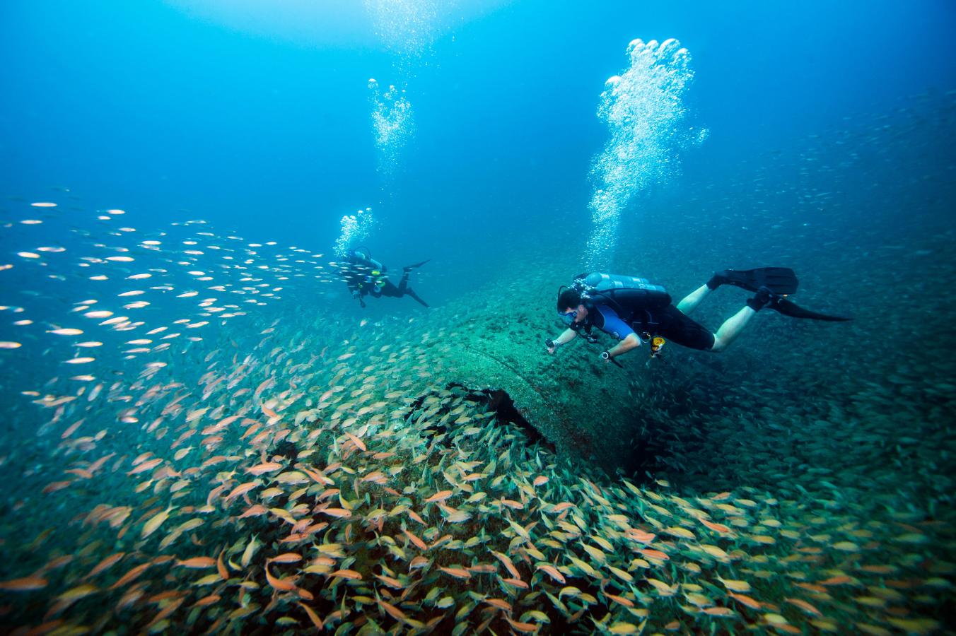 Two scuba divers exploring a shipwreck surrounded by fish