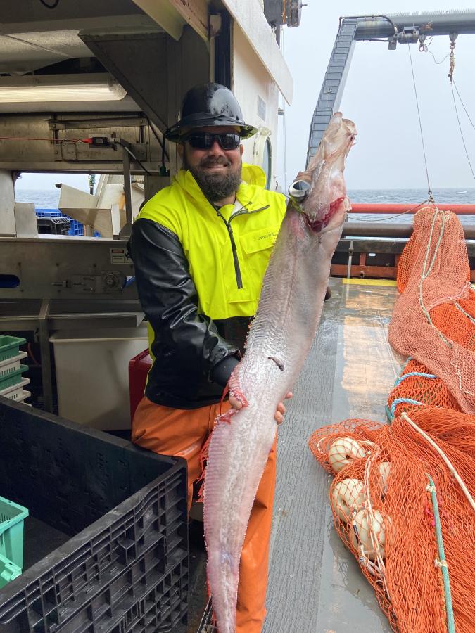 Matt McFarland holding a large fish.