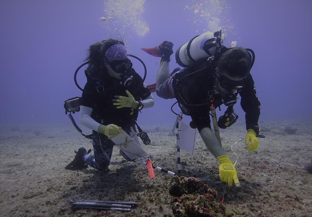 Two divers working on the sea floor