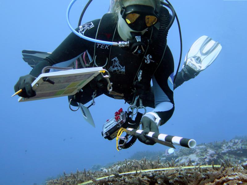 A diver under the water holding a notebook and ruler to measure coral