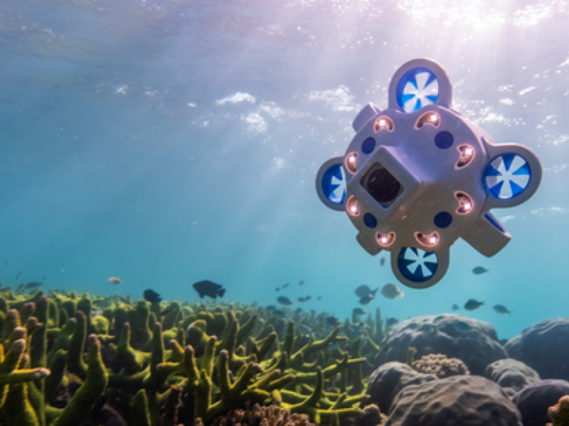 A blue and white Hydrus autonomous underwater vehicle transits underwater over the sea floor.