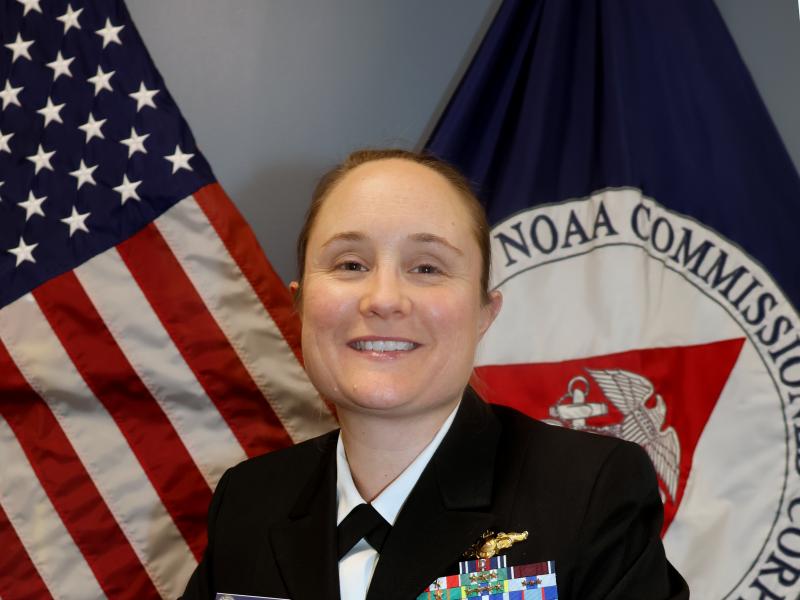 Rear Admiral Lower Half Amanda Goeller