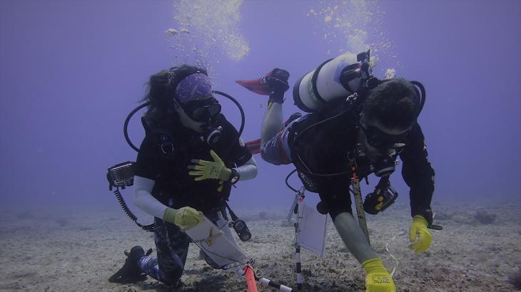 Two divers working on the sea floor